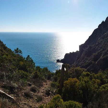 Il Cuore Di Moneglia - Moneglia Apartments エクステリア 写真