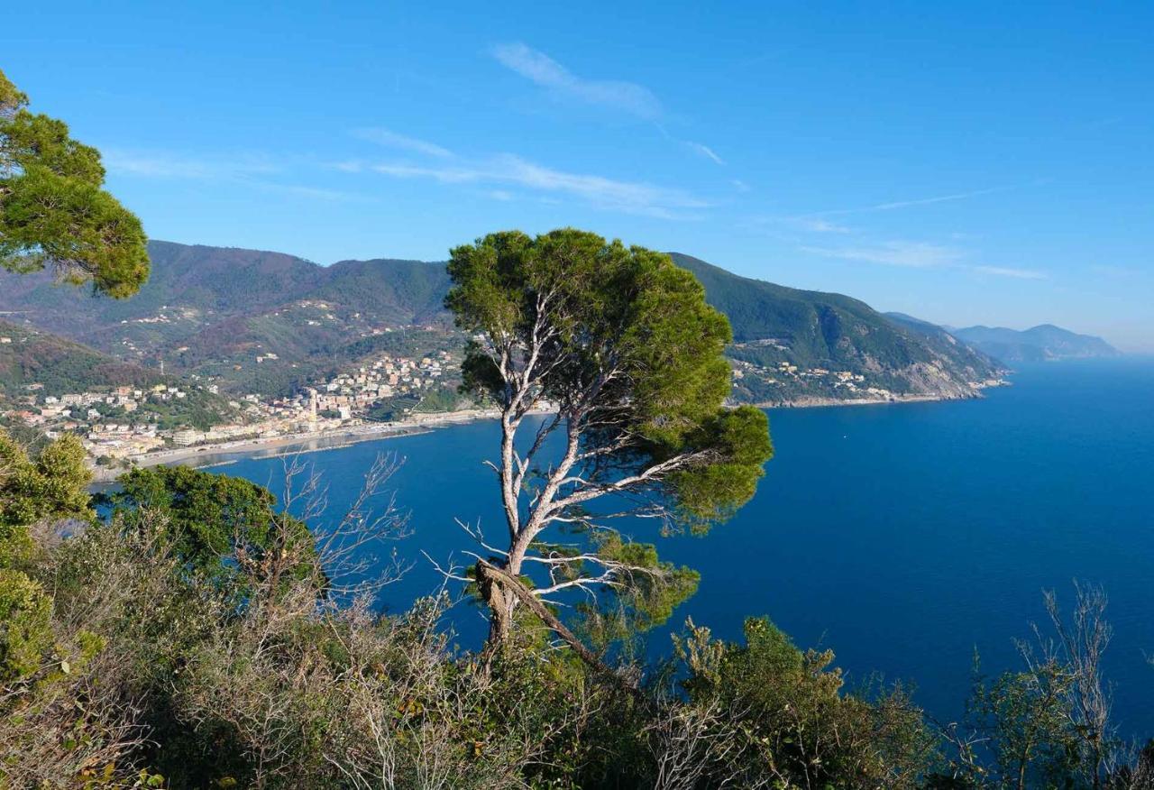 Il Cuore Di Moneglia - Moneglia Apartments エクステリア 写真